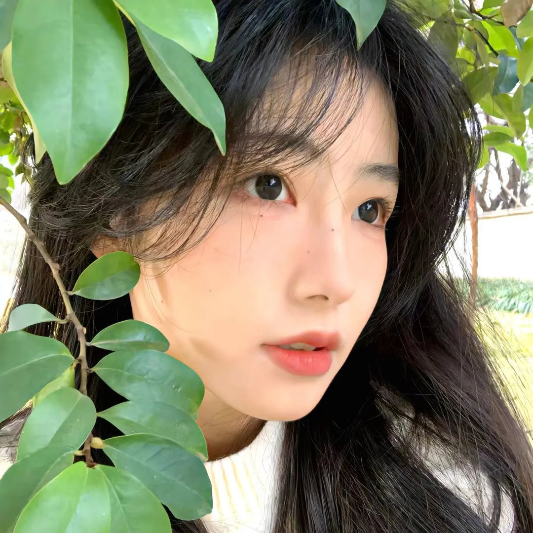 盲点第二季