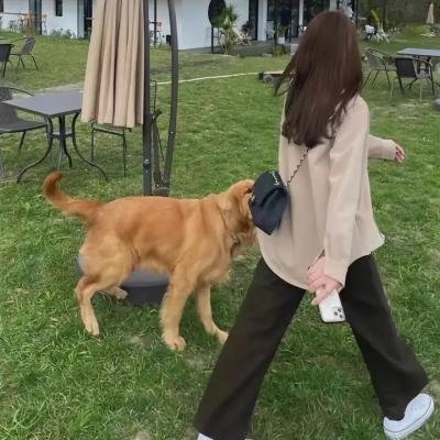 一个女王的少女时代